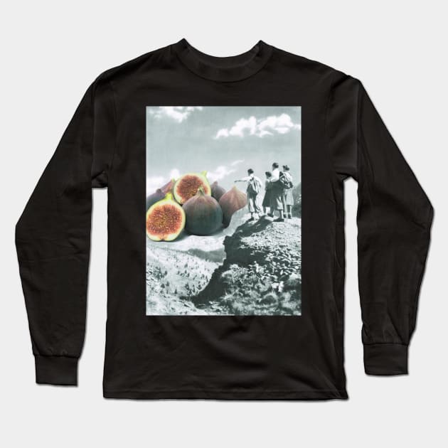 Fig dreams Long Sleeve T-Shirt by superwhoart